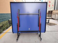 KBS PING CROSS+ MASA TENİSİ MASASI -  FİLE DAHİL