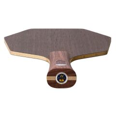 STIGA DESTINY CARBON CYBERSHAPE